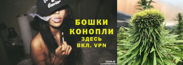 ГАЛЛЮЦИНОГЕННЫЕ ГРИБЫ Кулебаки