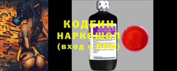 ГАЛЛЮЦИНОГЕННЫЕ ГРИБЫ Кулебаки