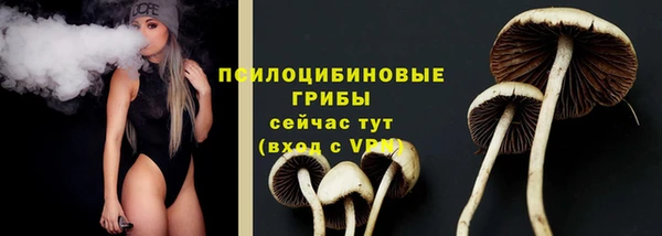 скорость Лагань