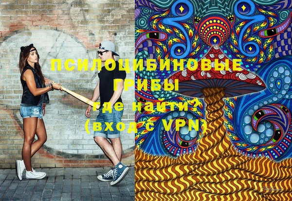герыч Снежинск