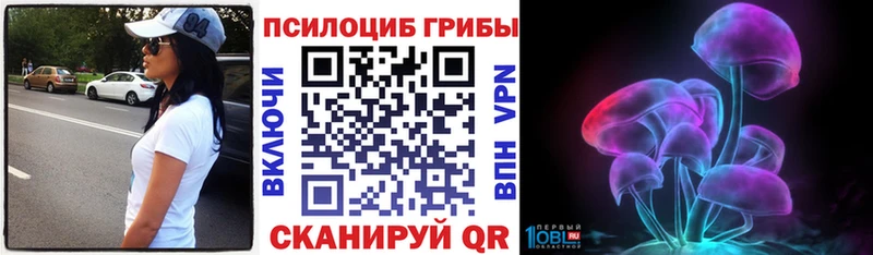 где продают   ОМГ ОМГ ТОР  Псилоцибиновые грибы Cubensis  Качканар 