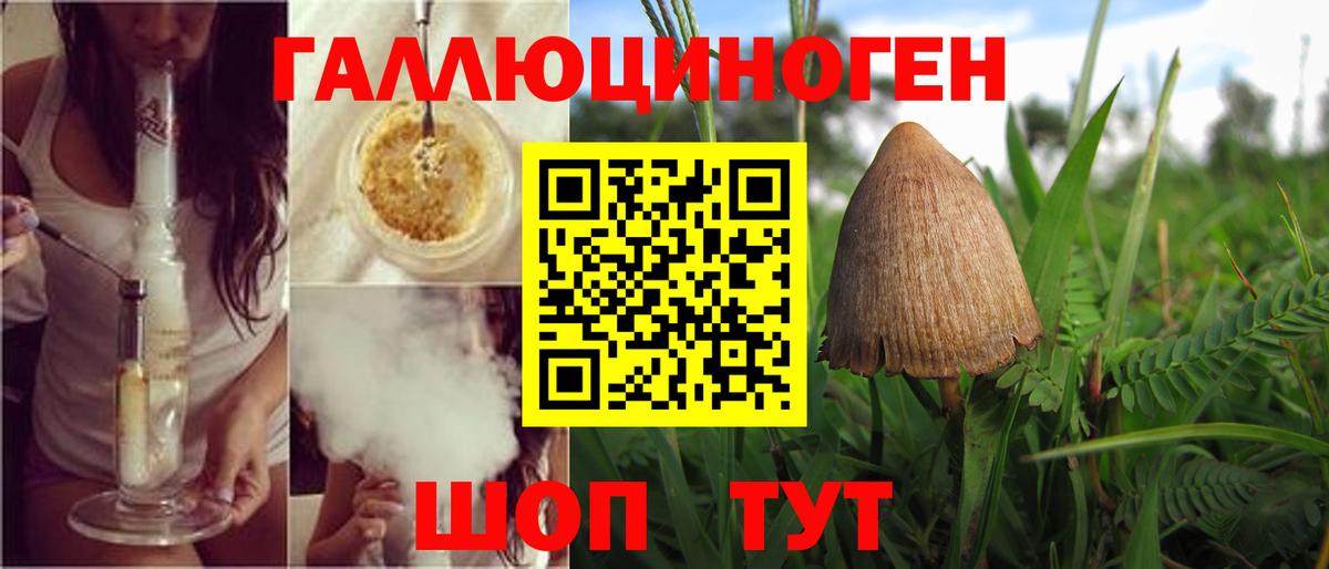Качканар  купить закладку  Вход с VPN  Галлюциногенные грибы GOLDEN TEACHER 