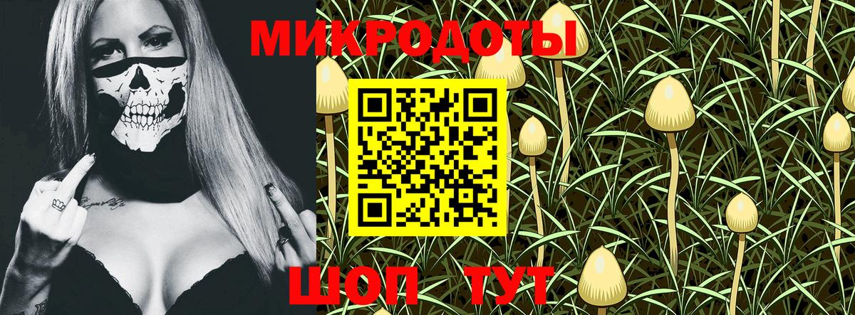 Галлюциногенные грибы GOLDEN TEACHER Качканар