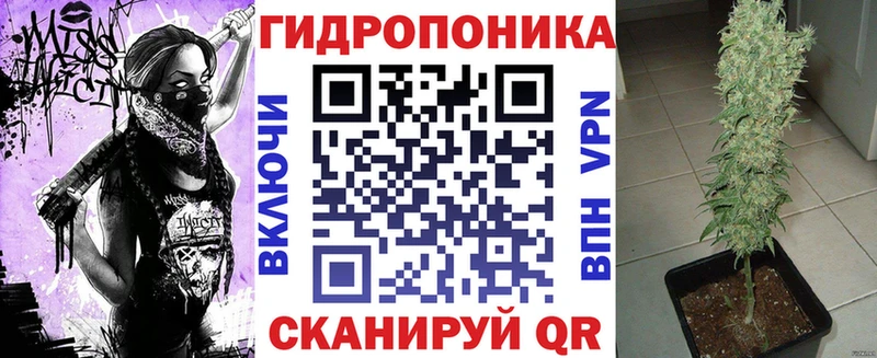 хочу наркоту  Качканар  Канабис сатива 